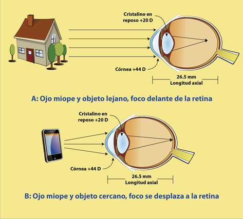 Clinic ophthalmologic - Eye Microsurgery - Kishinev center